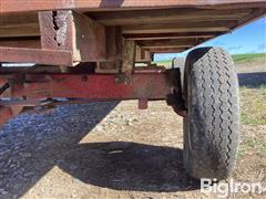 IMG_2956.jpeg