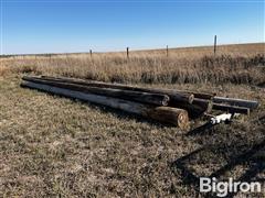 Telephone Poles 