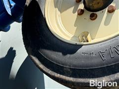 IMG_2277.jpeg