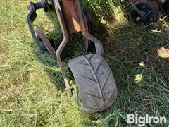 IMG_2267.jpeg