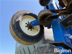 IMG_2317.jpeg