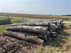 Hedge Fence Posts 