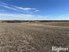 Tract #2: 157.52+\- Acres Nance County, NE