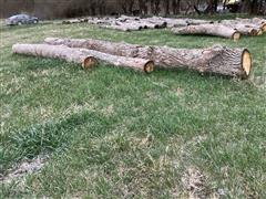 Oak Logs 