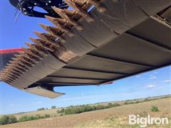 IMG_3669.jpeg