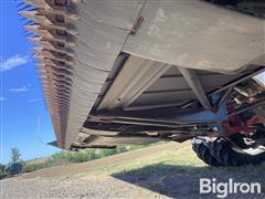 IMG_3665.jpeg