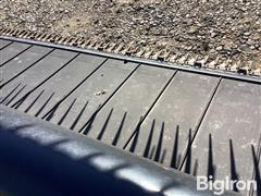 IMG_3658.jpeg