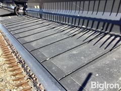 IMG_3586.jpeg