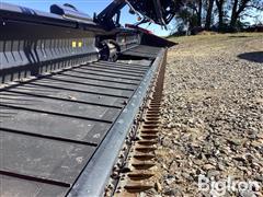 IMG_3596.jpeg