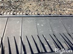 IMG_3655.jpeg