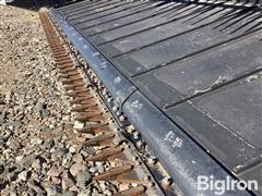 IMG_3593.jpeg