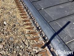 IMG_3584.jpeg