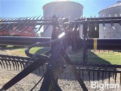 IMG_3625.jpeg
