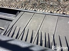 IMG_3654.jpeg