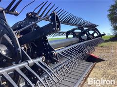 IMG_3603.jpeg