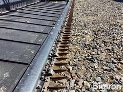 IMG_3597.jpeg