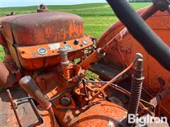 IMG_1002.jpeg