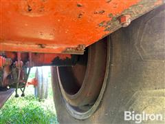 IMG_1028.jpeg