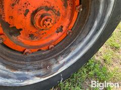 IMG_1033.jpeg
