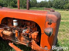 IMG_0977.jpeg