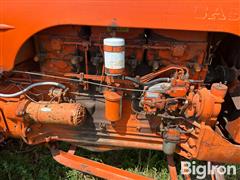 IMG_0983.jpeg