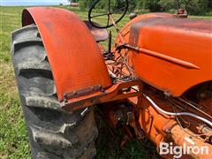 IMG_0979.jpeg