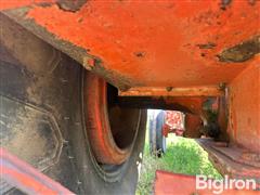 IMG_1029.jpeg