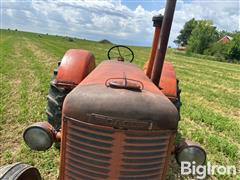 IMG_0975.jpeg