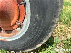 IMG_1019.jpeg