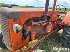 IMG_0973.jpeg
