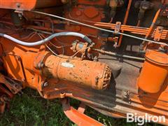 IMG_0982.jpeg