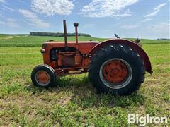 IMG_0972.jpeg