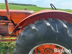 IMG_1007.jpeg