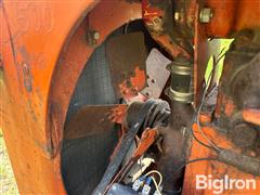 IMG_1011.jpeg