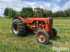 IMG_0967.jpeg