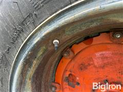 IMG_1022.jpeg