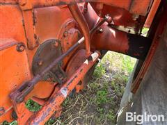 IMG_1013.jpeg