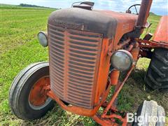 IMG_0974.jpeg