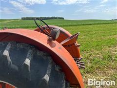 IMG_1006.jpeg