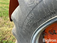 IMG_1021.jpeg