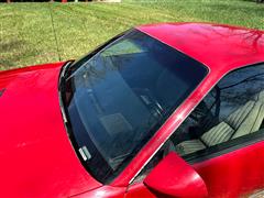 IMG_2969~photo.JPG
