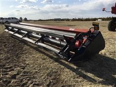 2006 Case IH 1010 30’ Rigid Header 