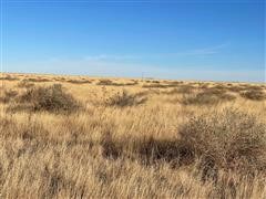 Tract 1:  160+/- Acres Baca County, CO