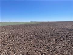 Wheat and Tilled.jpg