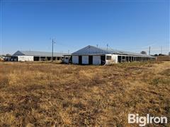 Horse Barns 