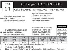 Lot 1 Pedigree.JPG