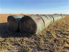 Alfalfa 1st Cutting Hay Big Round Bales 