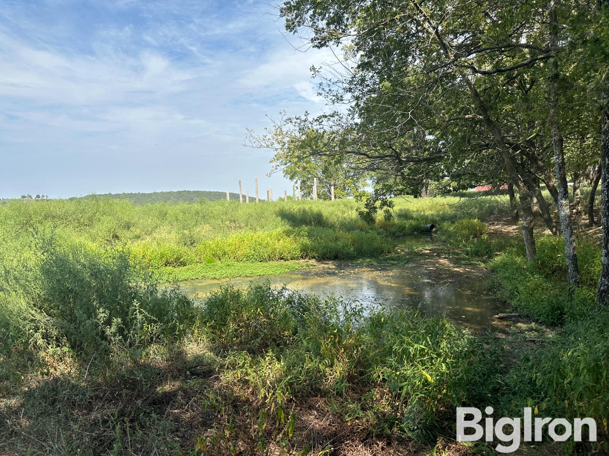 2ND POND NEAR BARN.JPG