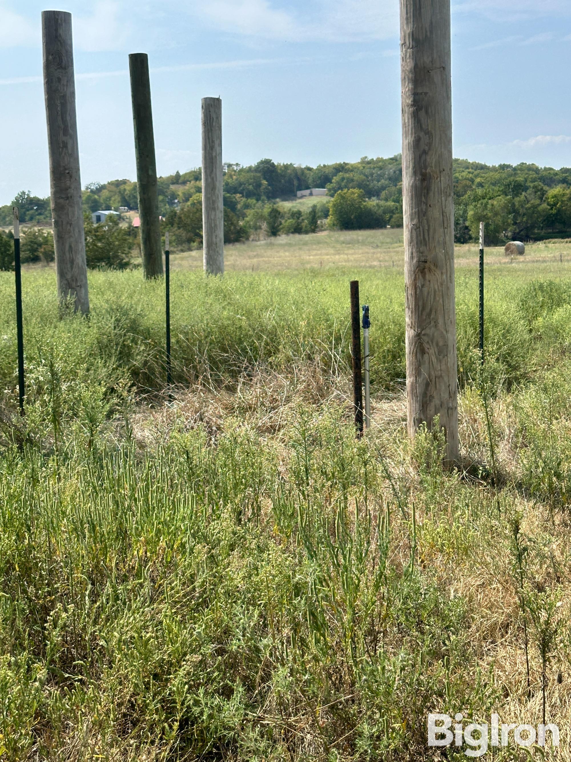 POLE BARN PROJECT.JPG