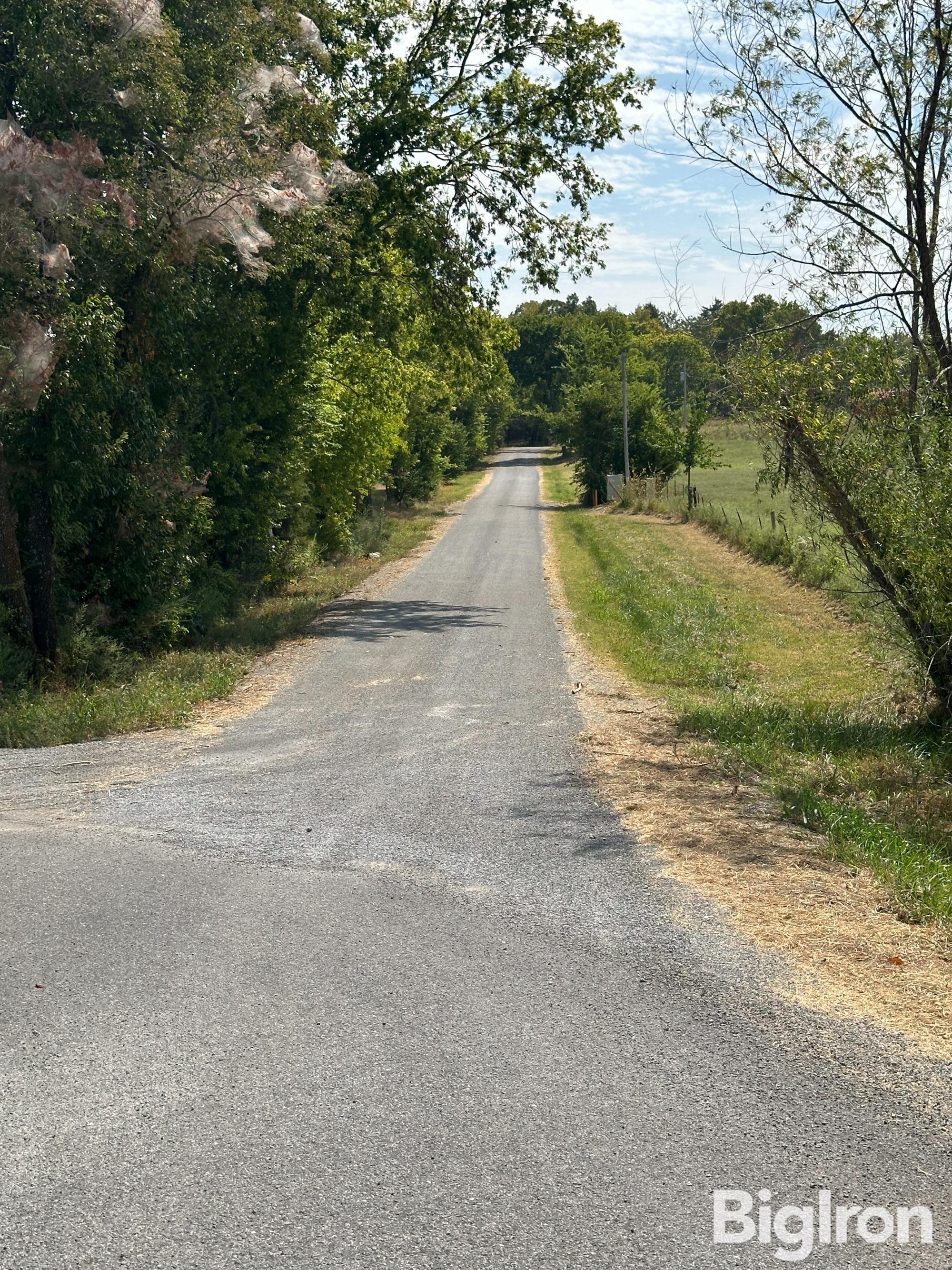 cr s 4220 RD FROM HIGHWAY 20.JPG